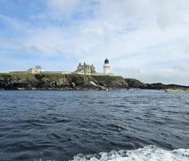 Boat tours aboard our RHIB Satzoomer